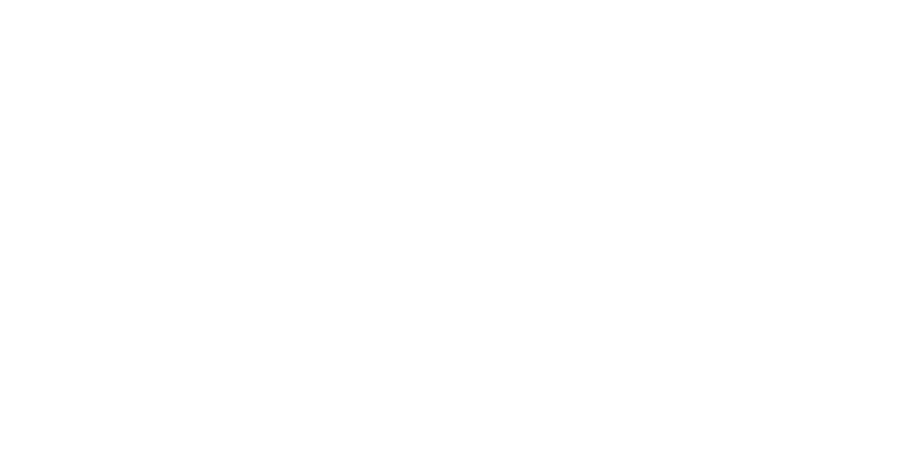 תלמה שלמה טראוול סולושיינס בע"מ